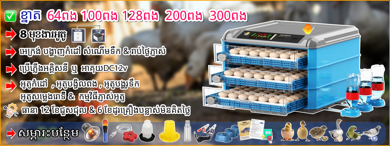 Gray Machine - 64, 100, 128, 200, 300 Egg Incubators